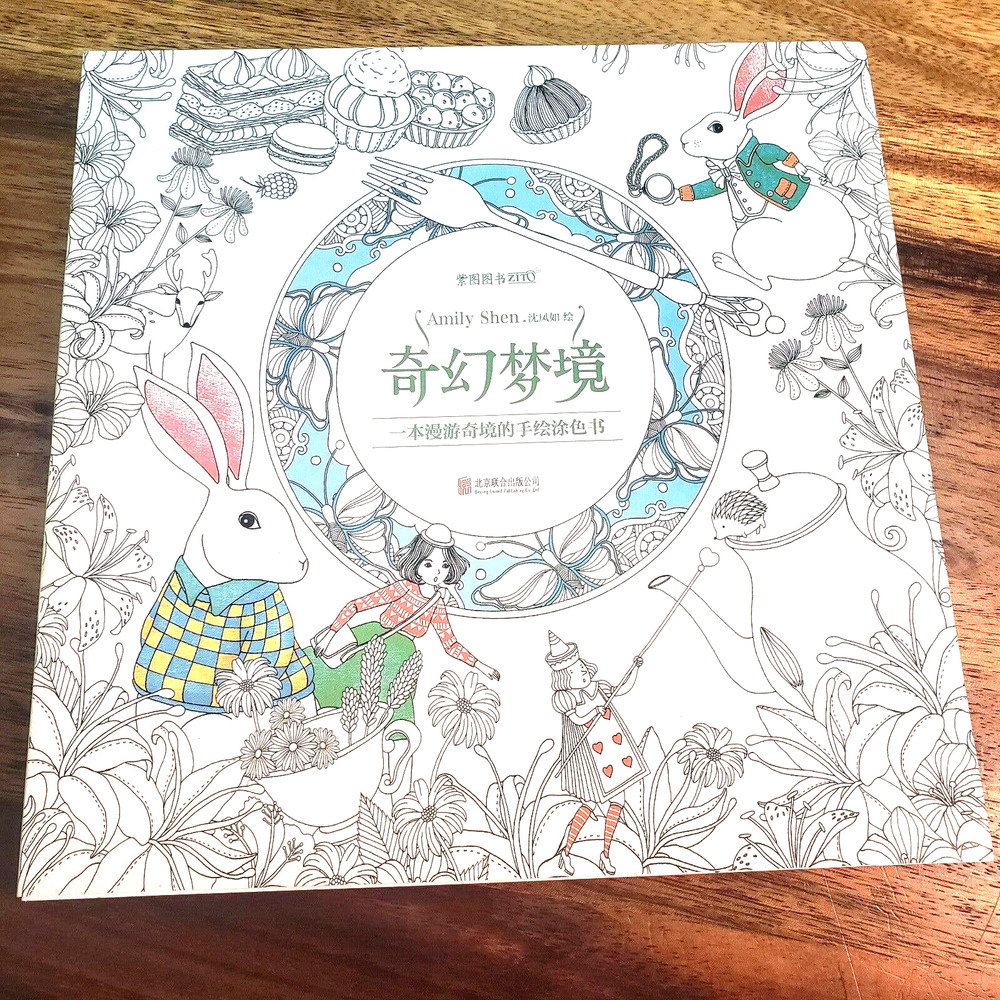 FANTASY DREAM (CHINESE EDITION) By Huang Li & Shen Feng Ru Coloring Book